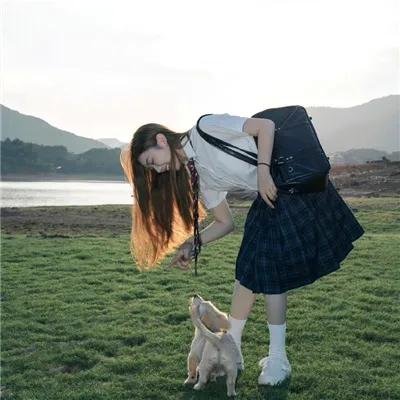 星际狗狗